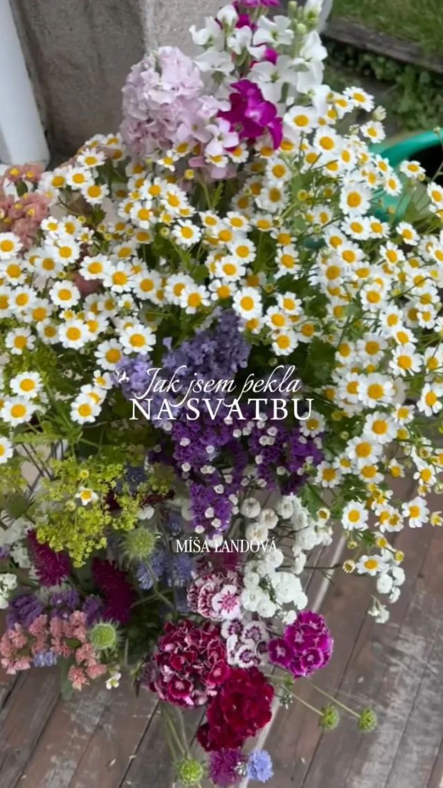 JAK jsem pekla na SVATBU 🌸

Upřímně? Byla to FUŠKA 😂 Dny příprav, hodiny pečení, nekonečné mytí nádobí a minimum spánku. Pak ale přijde moment, kdy na tohle všechno zapomenete. Když vidíte, jak lidem chutná, obdivem září oči, vracejí se pro další kousky ♥️

Slyšela jsem tolik krásných slov, viděla nadšené reakce, a cítila jsem obrovskou vděčnost, že právě TOHLE můžu DĚLAT. I když jen občas a zcela výjimečně pro blízké přátele 😂 

Děkuji novomanželům za důvěru i možnost strávit s nimi jejich den ♥️

A teď to, co vás asi zajímá nejvíc, SLADKÝ BAR obsahoval DESET druhů dezertů v celkovém počtu 160 kousků. U všech jsem vycházela ze svých receptů na blogu #vikendovepeceni a v kuchařkách, a POSTUPNĚ vám je všechny v samostatných příspěvcích představím. Takže pokud mě ještě nesledujete, měli byste začít 🙃

#blogvikendovepeceni #receptnablogu #svatebnipeceni #sweetbar #weddingbar #pecemevtomspolu #tipynapeceni