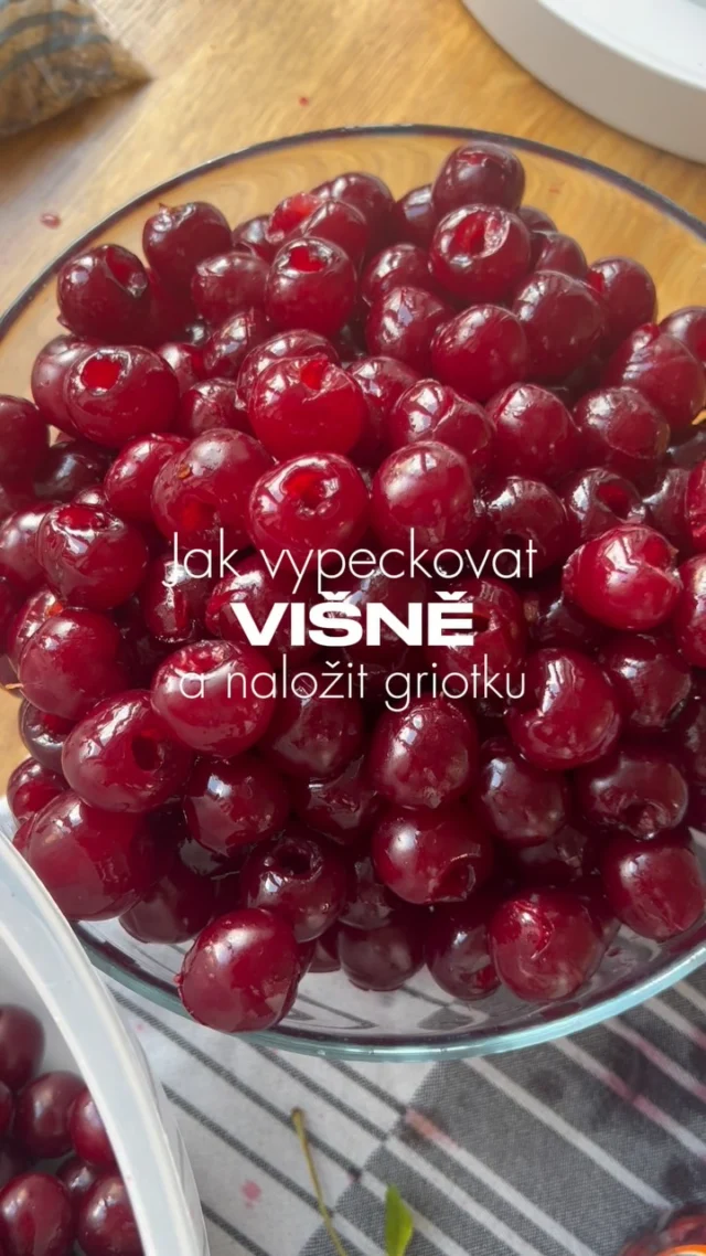 Jak vypeckovat VIŠNĚ a naložit GRIOTKU 🍒

Letošní úroda višní mě donutila sáhnout po zlepšováku na jejich odpeckování 🍒 stačit vám k tomu bude kovová tyčka či pevnější brčko, hůlka nebo kovová zdobící špička. A samozřejmě láhev s odpovídající velikostí hrdla 🍾

A protože těch VIŠNÍ bylo opravdu hodně, zkusila jsem jich pár hodit i do rumu 🥃 Je to moje první GRIOTKA, takže výsledek není zaručen, ale věřím, že špatné to nebude 😂

Hodně se liší názory, jestli višně odpeckovat nebo ne, prý pecka dodá tu správnou chuť 🤷🏼‍♀️ mě zase přijde praktické je tam nemít a po scezení višně nasáklé alkoholem ještě využít 😉 Spory se vedou i ohledně cukru a alkoholu. Já jsem rozhodně tým rum, vodka zůstala nedotčená. 

Zajímalo by mě, co vy a domácí griotka? 🍒 Podělte se o svoje zkušenosti v komentářích 😊

#vikendovepeceni #blogvikendovepeceni #pecemevtomspolu #domacigriotka #visnoverecepty #speckounebobezpecky
